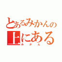 とあるみかんの上にある（みかん）