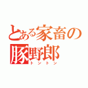 とある家畜の豚野郎（トントン）