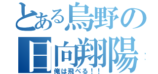 とある烏野の日向翔陽（俺は飛べる！！）