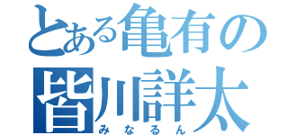 とある亀有の皆川詳太（みなるん）