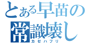 とある早苗の常識壊し（カゼハフリ）