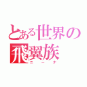 とある世界の飛翼族（ニーナ）