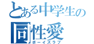 とある中学生の同性愛（ボーイズラブ）