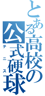 とある高校の公式硬球（テニス）