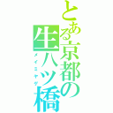 とある京都の生八ツ橋（メイミヤゲ）