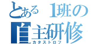 とある１班の自主研修（カタストロフ）