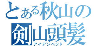 とある秋山の剣山頭髪（アイアンヘッド）