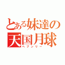 とある妹達の天国月球（ヘブンリー）