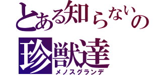 とある知らないの珍獣達（メノスグランデ）