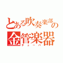 とある吹奏楽部の金管楽器（チューバ）