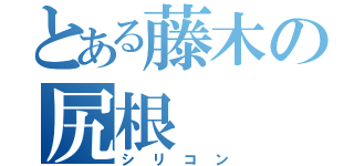 とある藤木の尻根（シリコン）