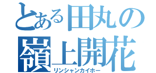 とある田丸の嶺上開花（リンシャンカイホー）