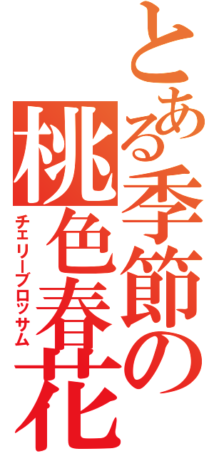 とある季節の桃色春花（チェリーブロッサム）