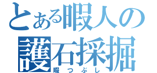 とある暇人の護石採掘（暇つぶし）