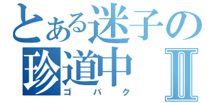 とある迷子の珍道中Ⅱ（ゴバク）