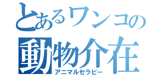 とあるワンコの動物介在福祉（アニマルセラピー）