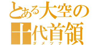 とある大空の十代首領（ダメツナ）