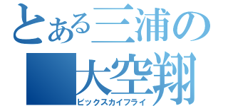 とある三浦の　大空翔（ビックスカイフライ）