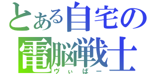 とある自宅の電脳戦士（ヴぃぱー）