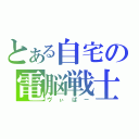 とある自宅の電脳戦士（ヴぃぱー）