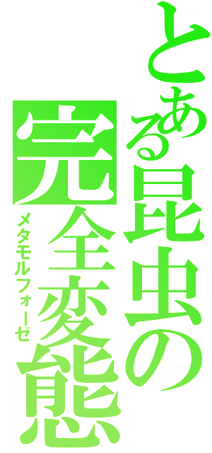 とある昆虫の完全変態（メタモルフォーゼ）