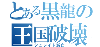 とある黒龍の王国破壊（シュレイド滅亡）