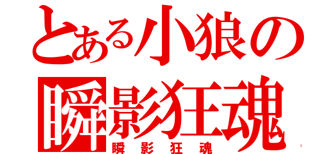 とある小狼の瞬影狂魂（瞬影狂魂）