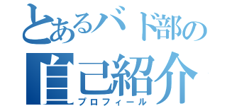 とあるバド部の自己紹介（プロフィール）