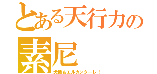 とある天行力の素尼（犬機もエルカンターレ！）