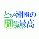 とある湘南の超亀最高（メガカメックス）