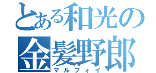 とある和光の金髪野郎（マルフォイ）