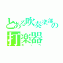 とある吹奏楽部の打楽器（なっつ）