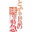 とある小田急の眺望特急（ロマンスカー）