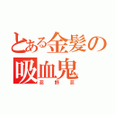 とある金髪の吸血鬼（忍野忍）