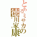 とあるミサカの徳川家康（ネコ）