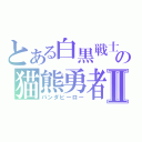 とある白黒戦士の猫熊勇者Ⅱ（パンダヒーロー）