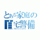 とある家庭の自宅警備員（プロフェッショナル）