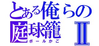 とある俺らの庭球籠Ⅱ（ボールかご）