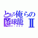 とある俺らの庭球籠Ⅱ（ボールかご）