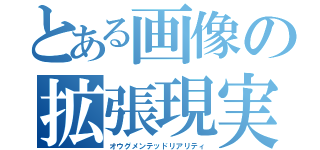 とある画像の拡張現実（オウグメンテッドリアリティ）