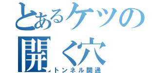 とあるケツの開く穴（トンネル開通）