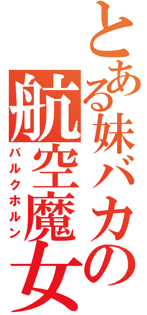 とある妹バカの航空魔女（バルクホルン）