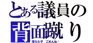 とある議員の背面蹴り（落ちた子 ごめんね〜）