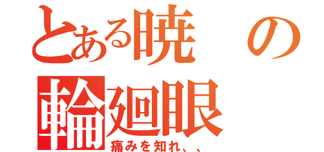 とある暁の輪廻眼（痛みを知れ、、）