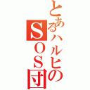 とあるハルヒのＳＯＳ団（）