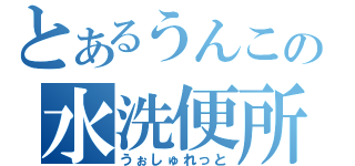 とあるうんこの水洗便所（うぉしゅれっと）