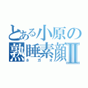 とある小原の熟睡素顔Ⅱ（ネガオ）