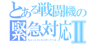 とある戦闘機の緊急対応Ⅱ（ちょっとコンビニ行ってくる）