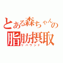 とある森ちゃんの脂肪摂取（リバウンド）