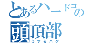 とあるハードコアの頭頂部（うすらハゲ）